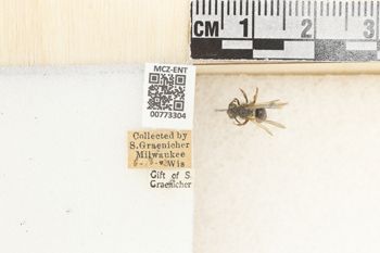 Media type: image;   Entomology 773304 Aspect: Labels